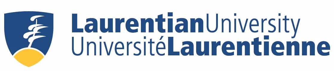 LSI